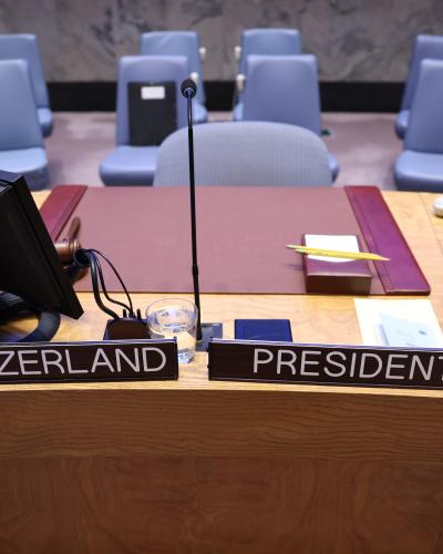 UNSC Presidency